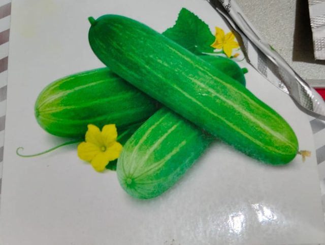 শসা (মালিক সিডস)